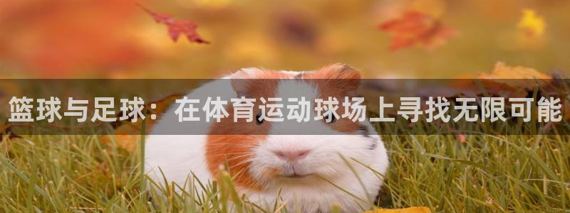 MK体育官网下载平台注册流程图:篮球与足球:在体育运动球场上