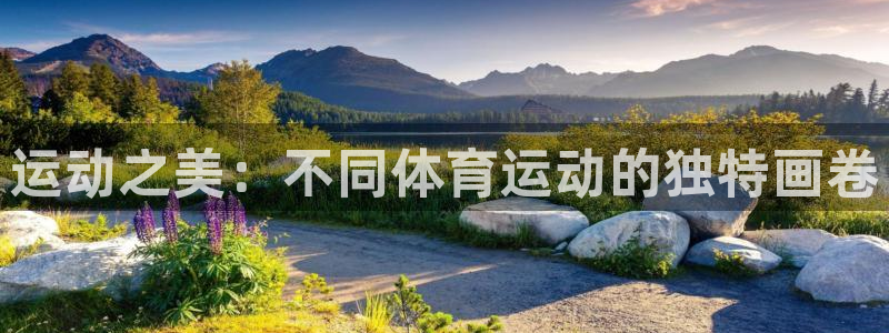 MK体育官网下载招商电话:运动之美:不同体育运动的独特画卷